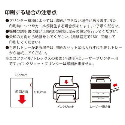 ecoFILE（エコファイル）/ FSC認証紙　色上質 ホワイト  8ケース (4000枚)