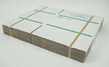 リサイクル紙バンド　2巻／ケース